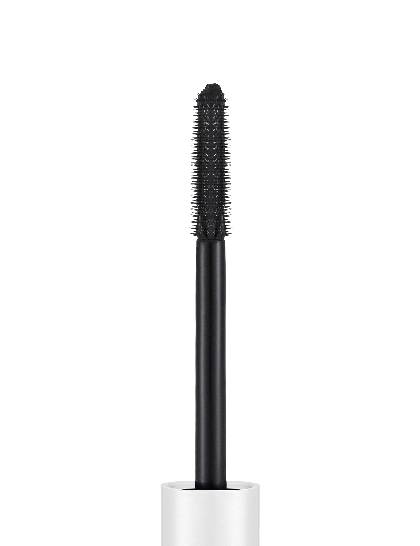 Tinted Primer Mascara